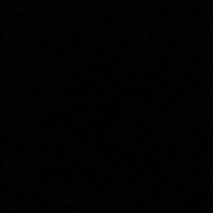 Meet your Posher, Reina